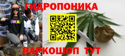 ГАЛЛЮЦИНОГЕННЫЕ ГРИБЫ Вязьма
